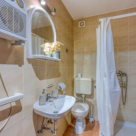 Pensionat Bacva With Pool Višnjan