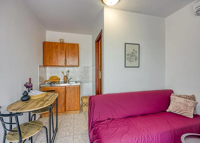 게스트하우스 Bacva With Pool Višnjan