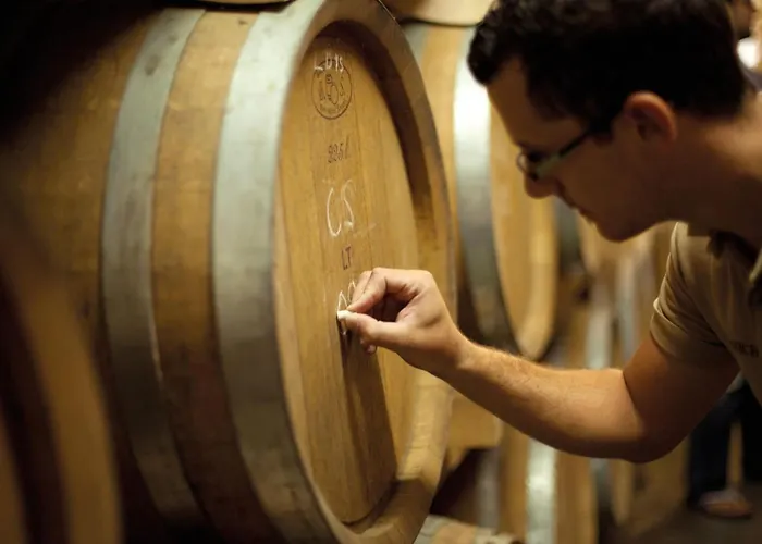 Bacva With Pool 게스트하우스 3*